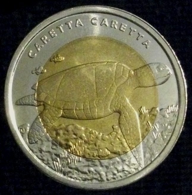 2009 Turkey One Turk Larasi - Turtle.JPG