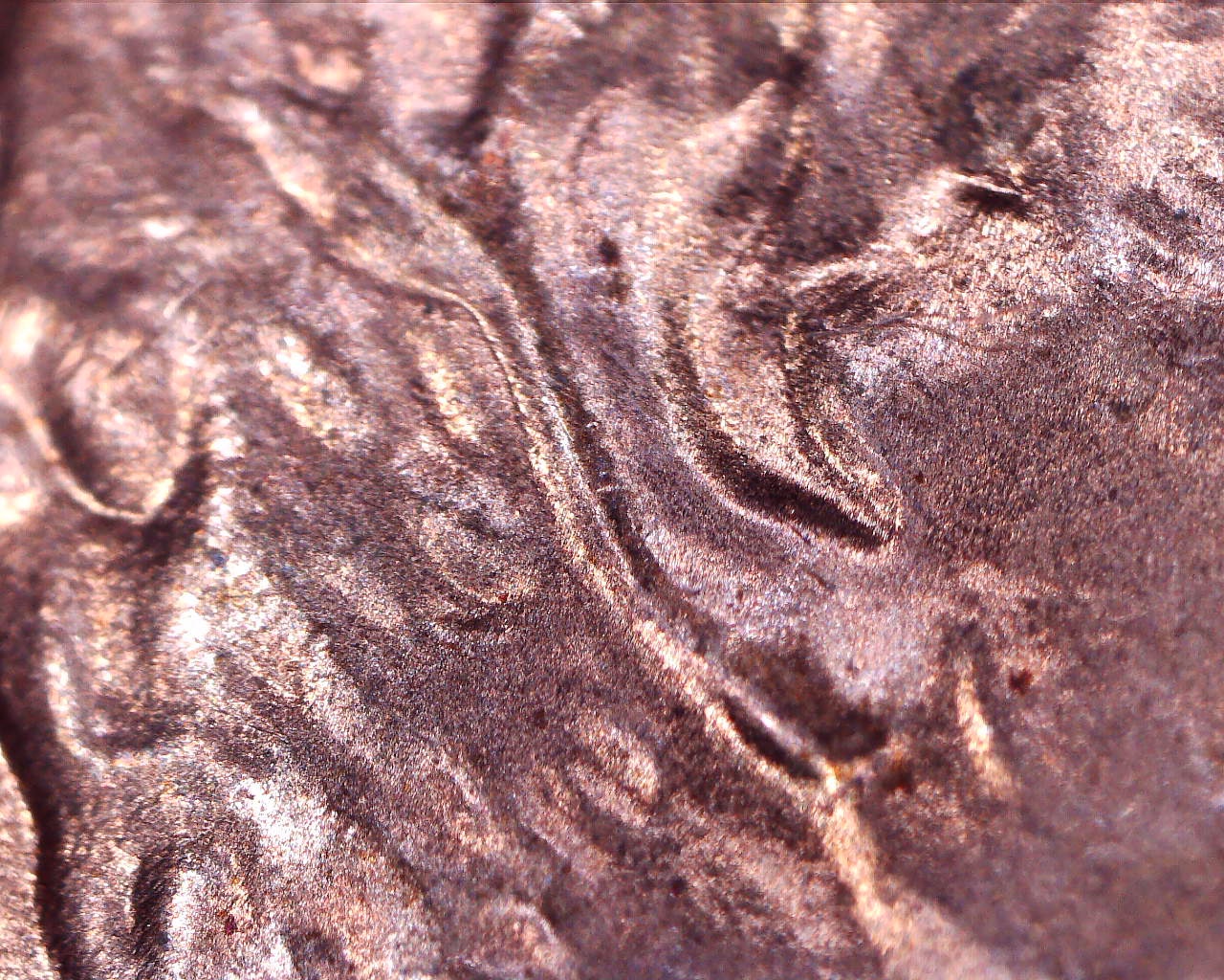 200917084212916.jpg
