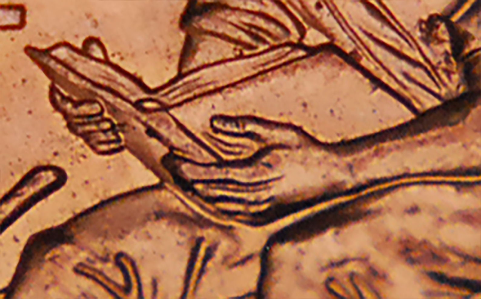 2009crop.jpg