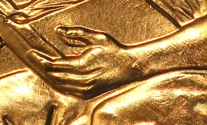 2009FYcloseup_04.jpg