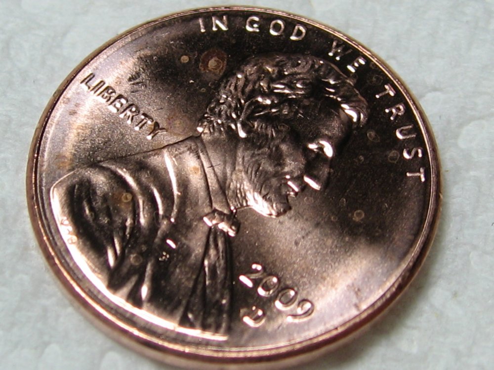 2009Lincoln_spots.jpg