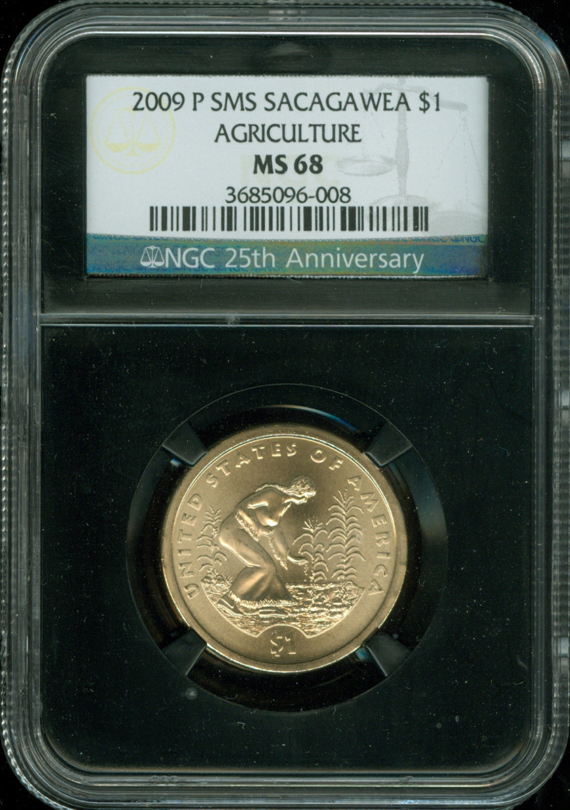 2009P.jpg