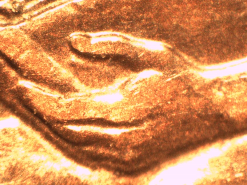 2009zz.jpg