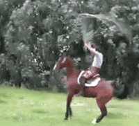 200w-1.gif
