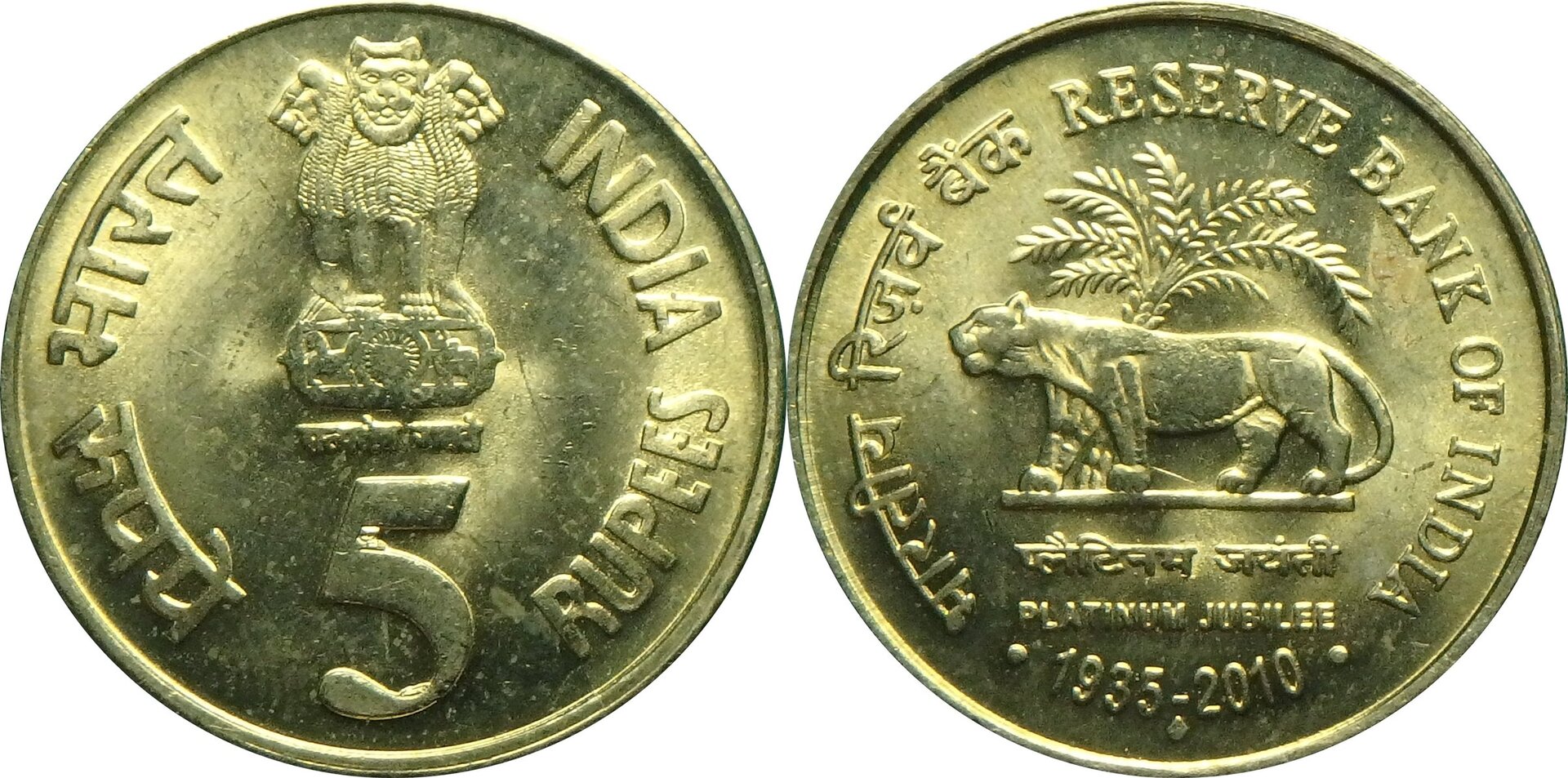 2010 IN 5 r.jpg