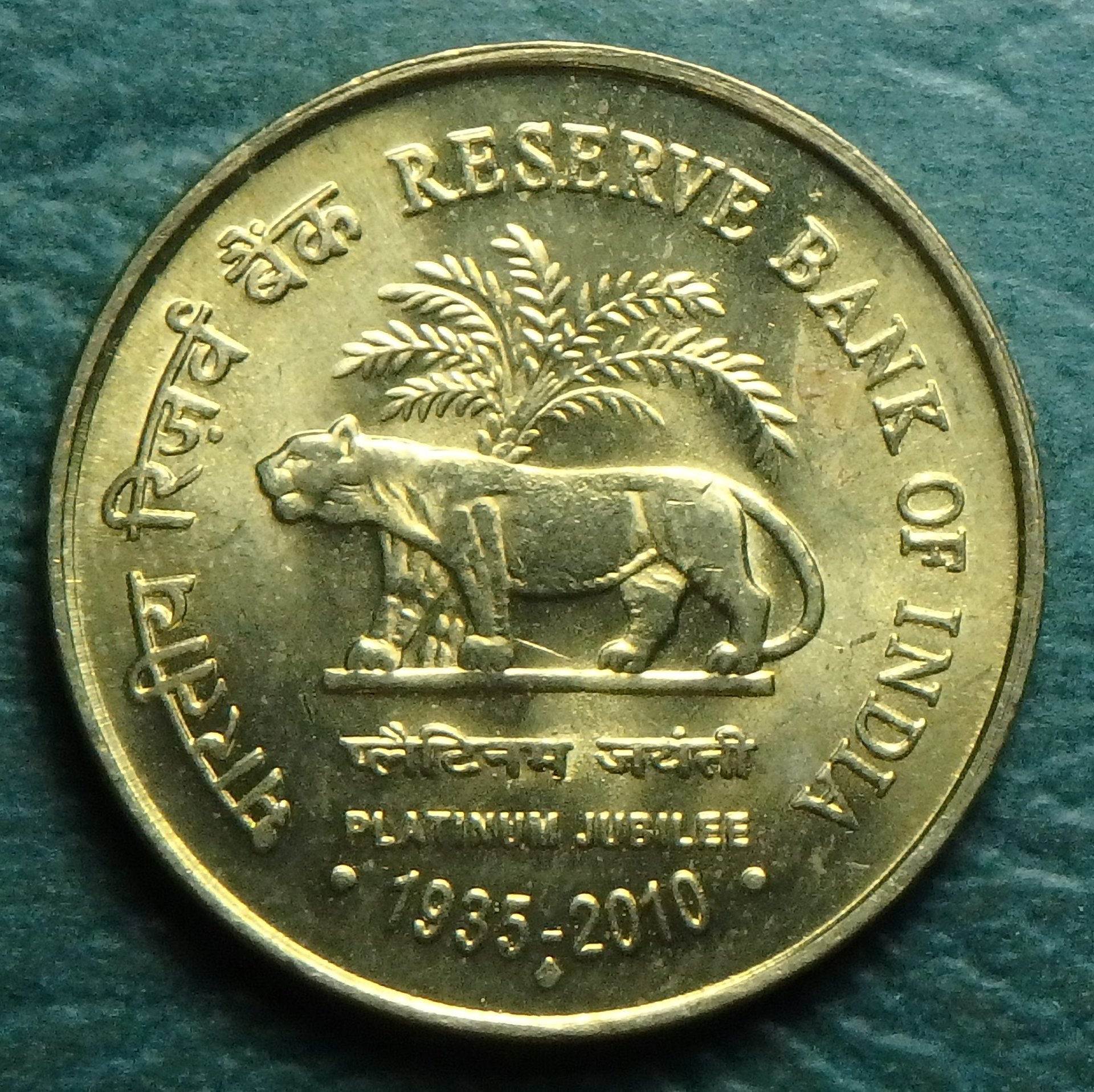 2010 IN 5 r rev.JPG