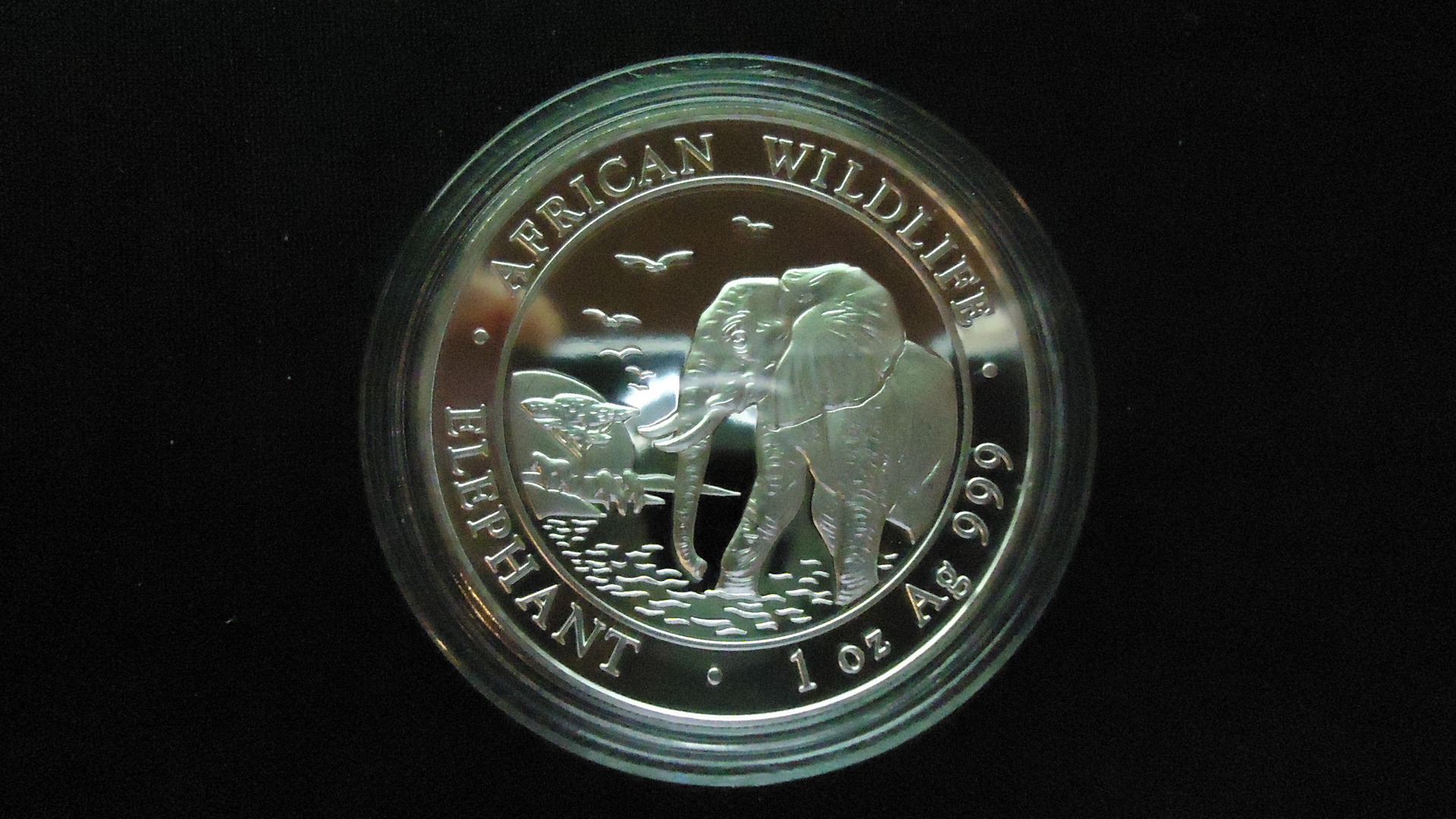 2010.JPG