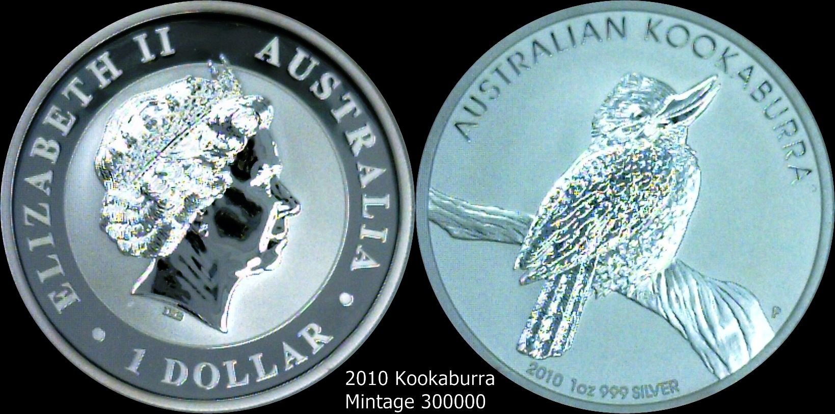 2010 Kookaburra.jpg