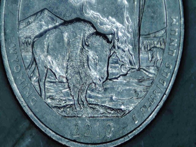 2010-p reverse week strick002.jpg