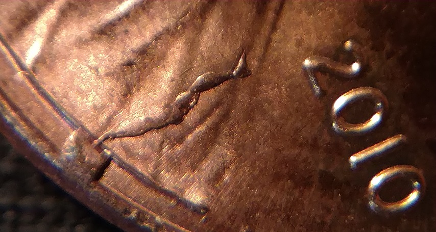 2010p_CudCloseup3Feb20_2018.jpg