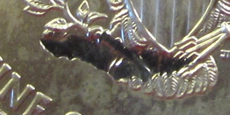 2010RC.jpg