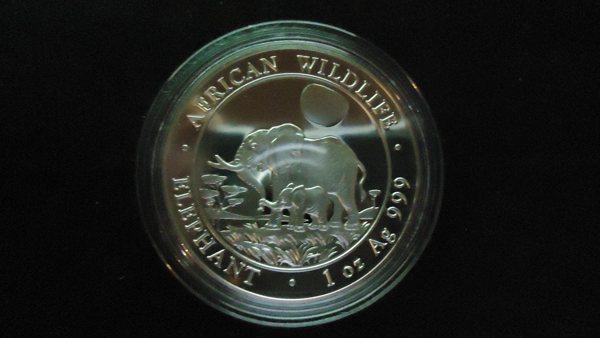2011.JPG