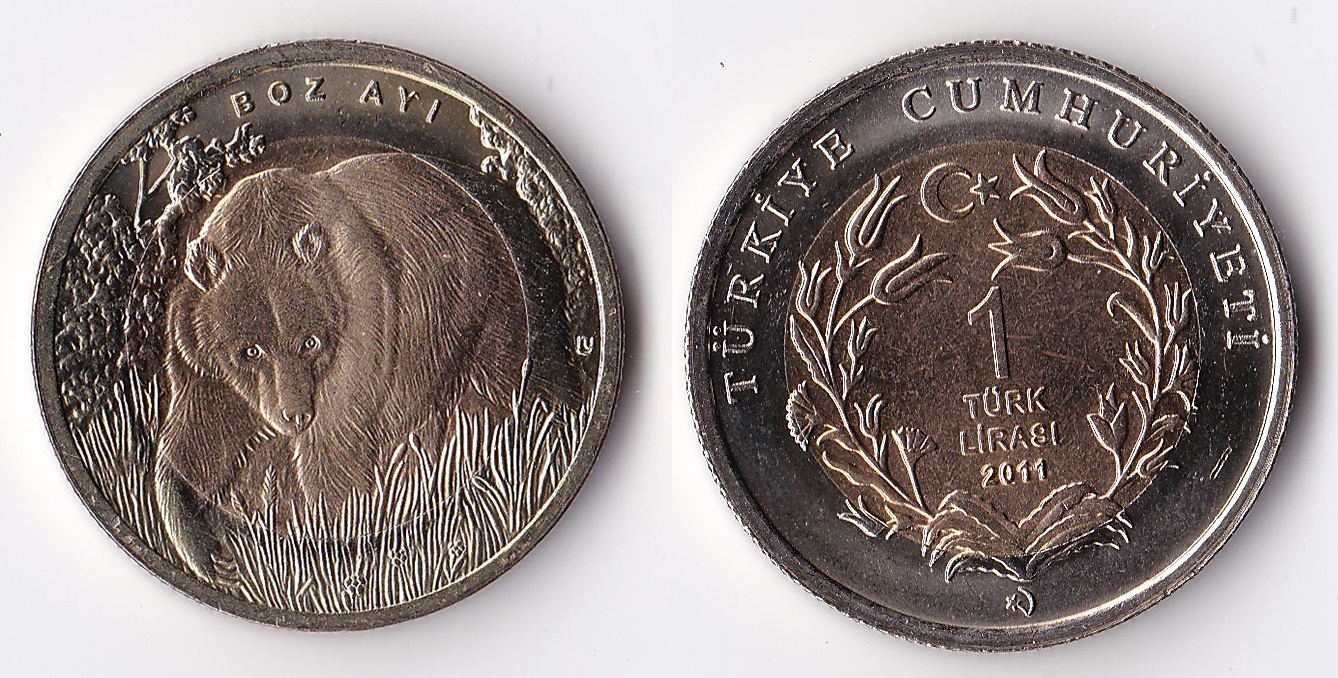 2011 turkey 1 lirasi.jpg