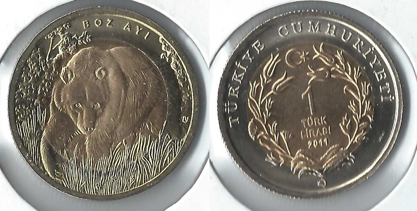 2011 turkey 1 lirasi.jpg