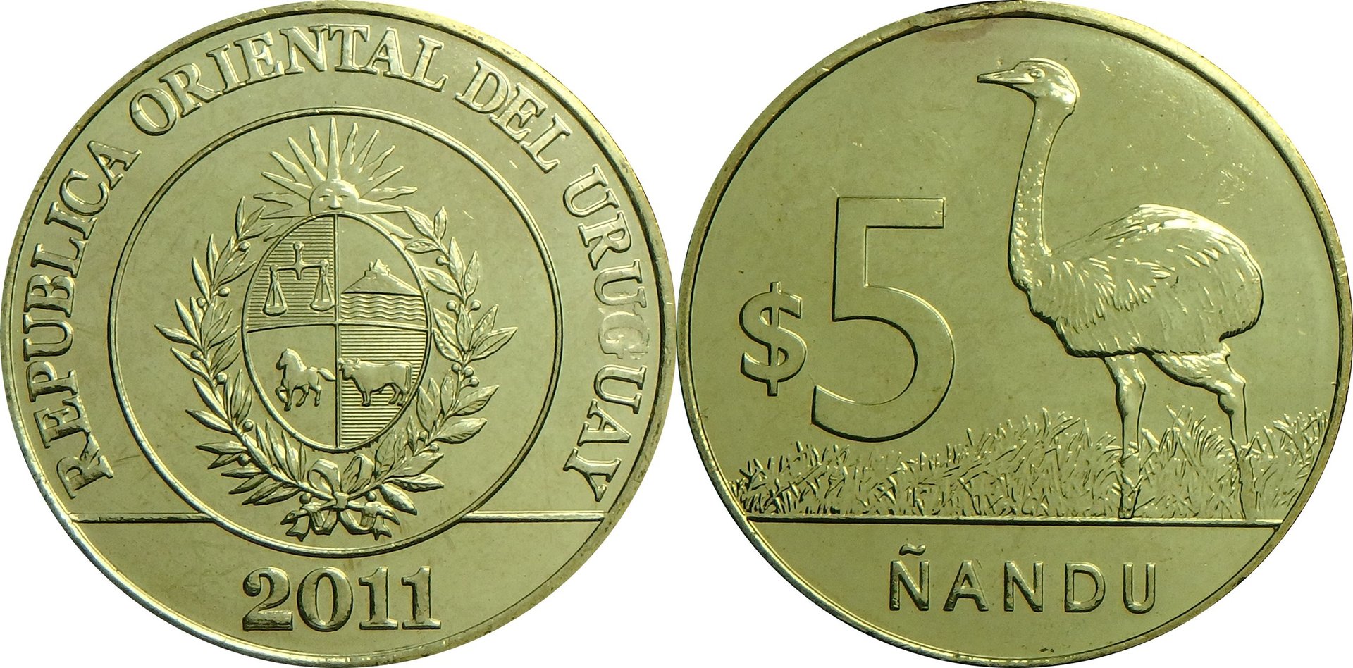 2011 UY 5 p.jpg
