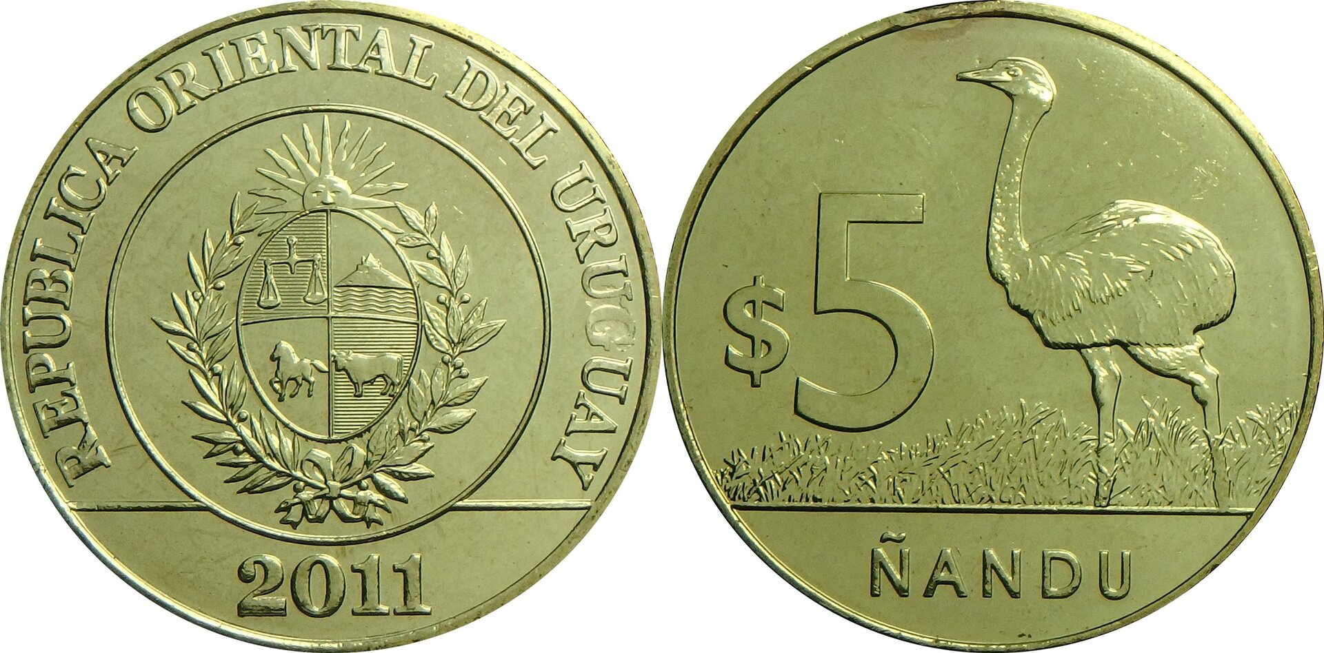 2011 UY 5 p.jpg