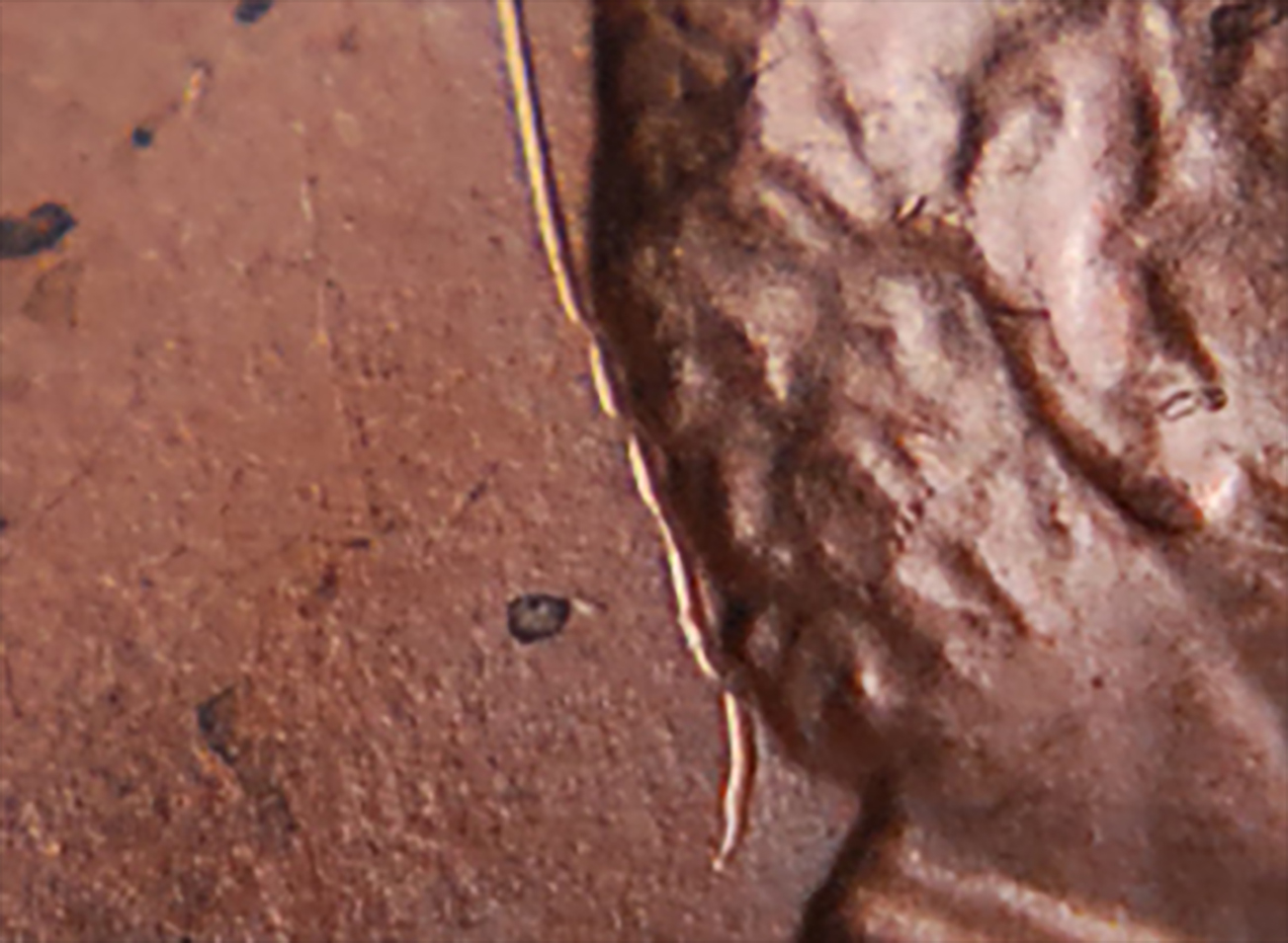 2011pcrop.jpg