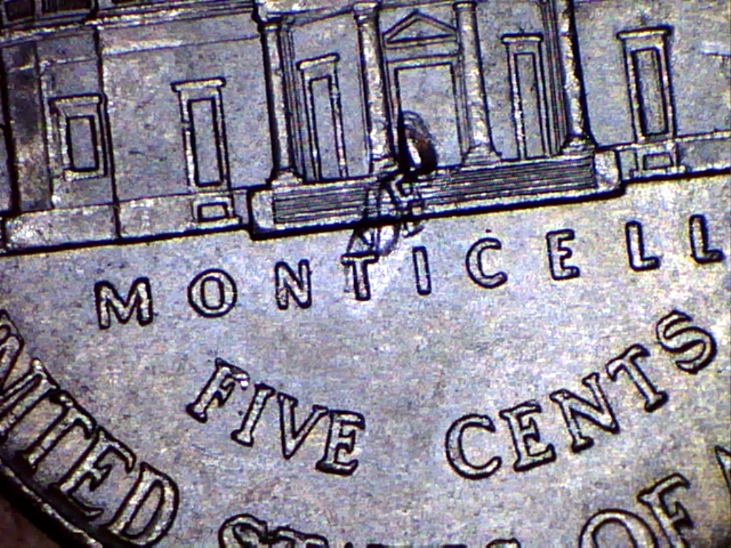 2012-20.jpg