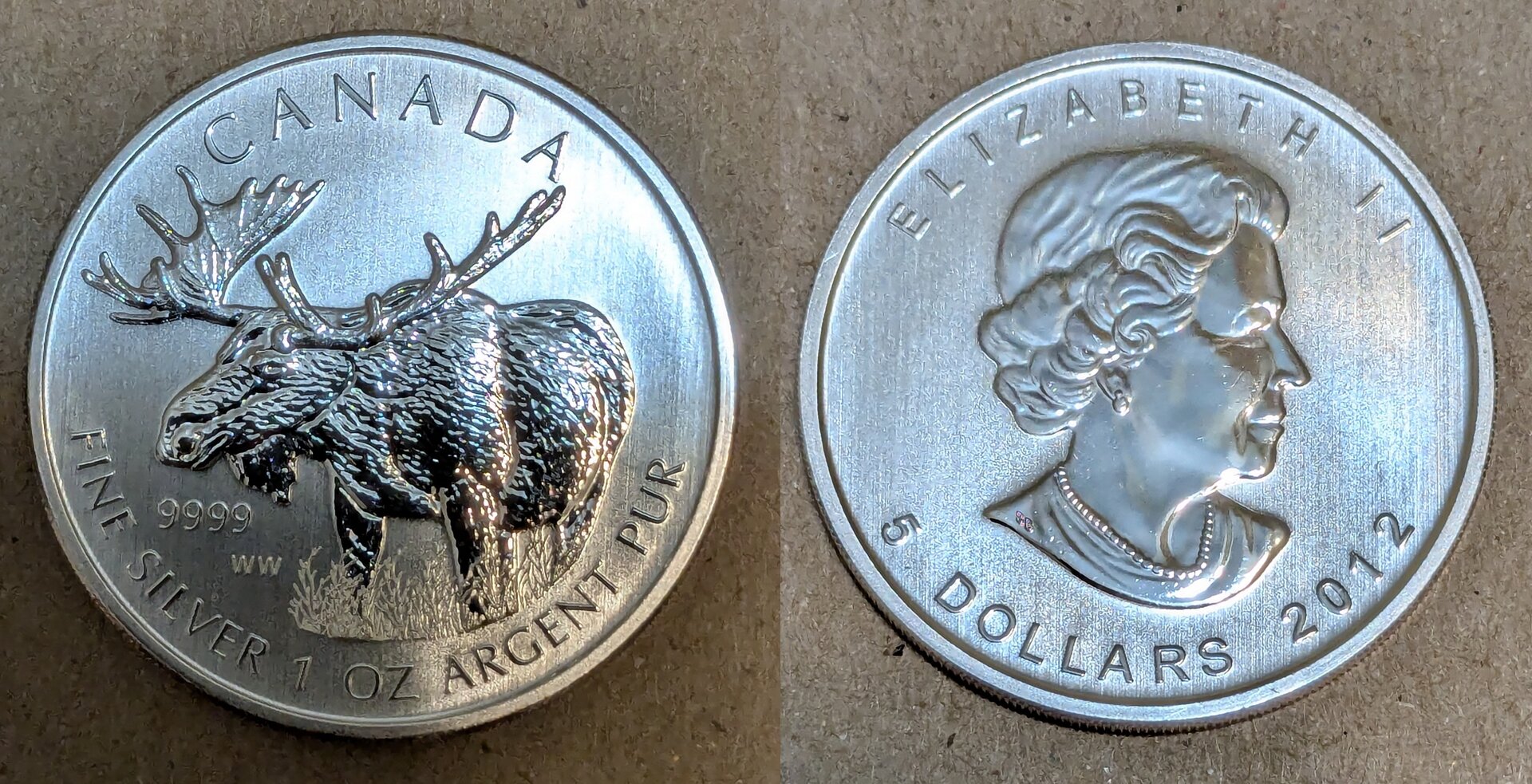 2012 canada 5 dollars moose.jpg