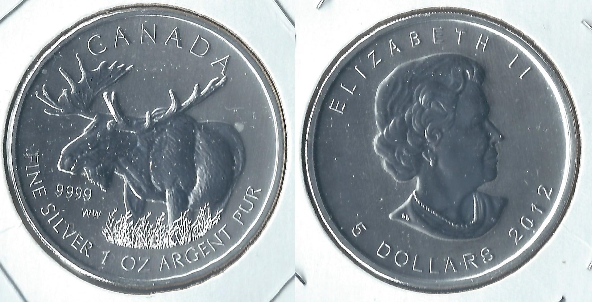2012 canada 5 dollars moose.jpg