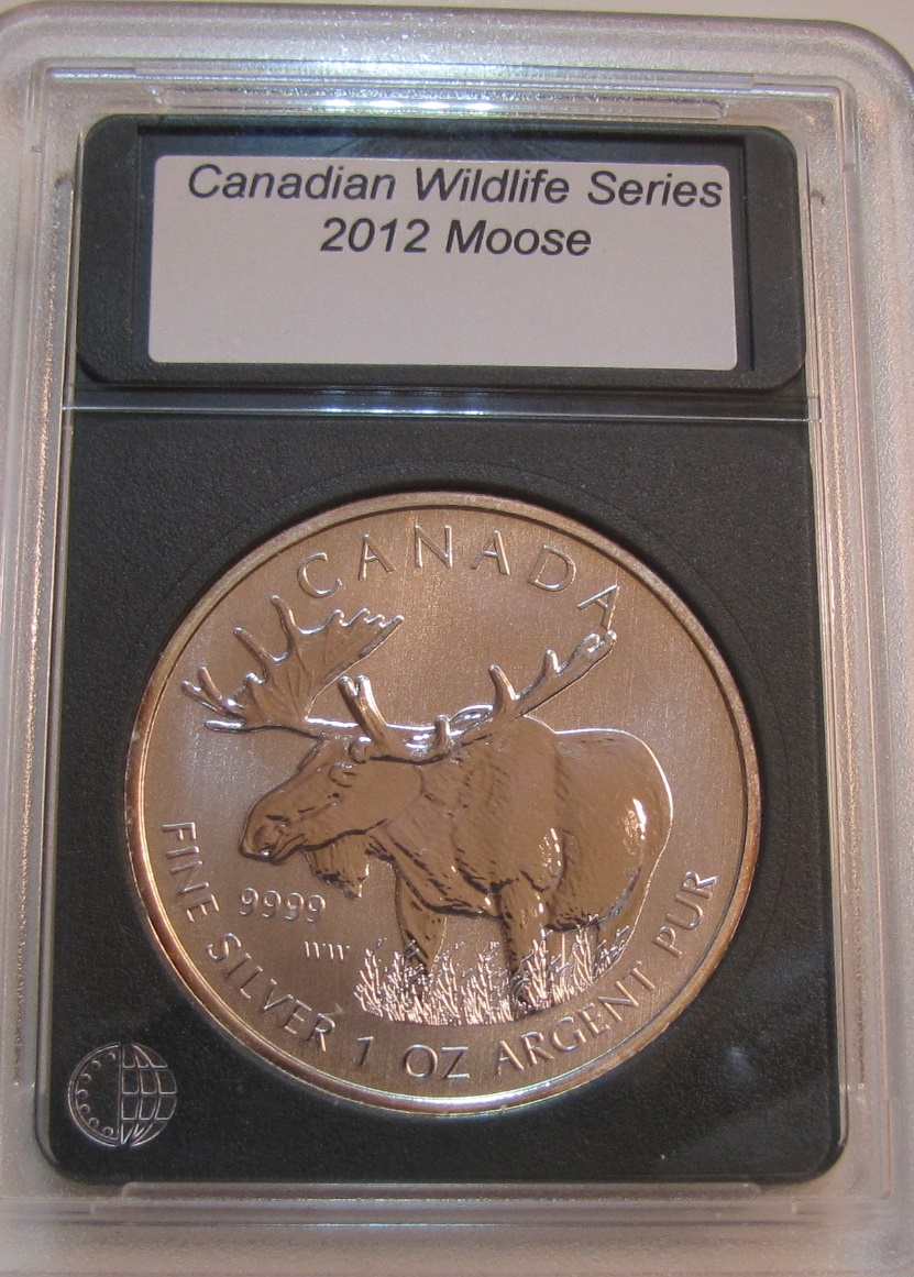2012 Moose 1.JPG