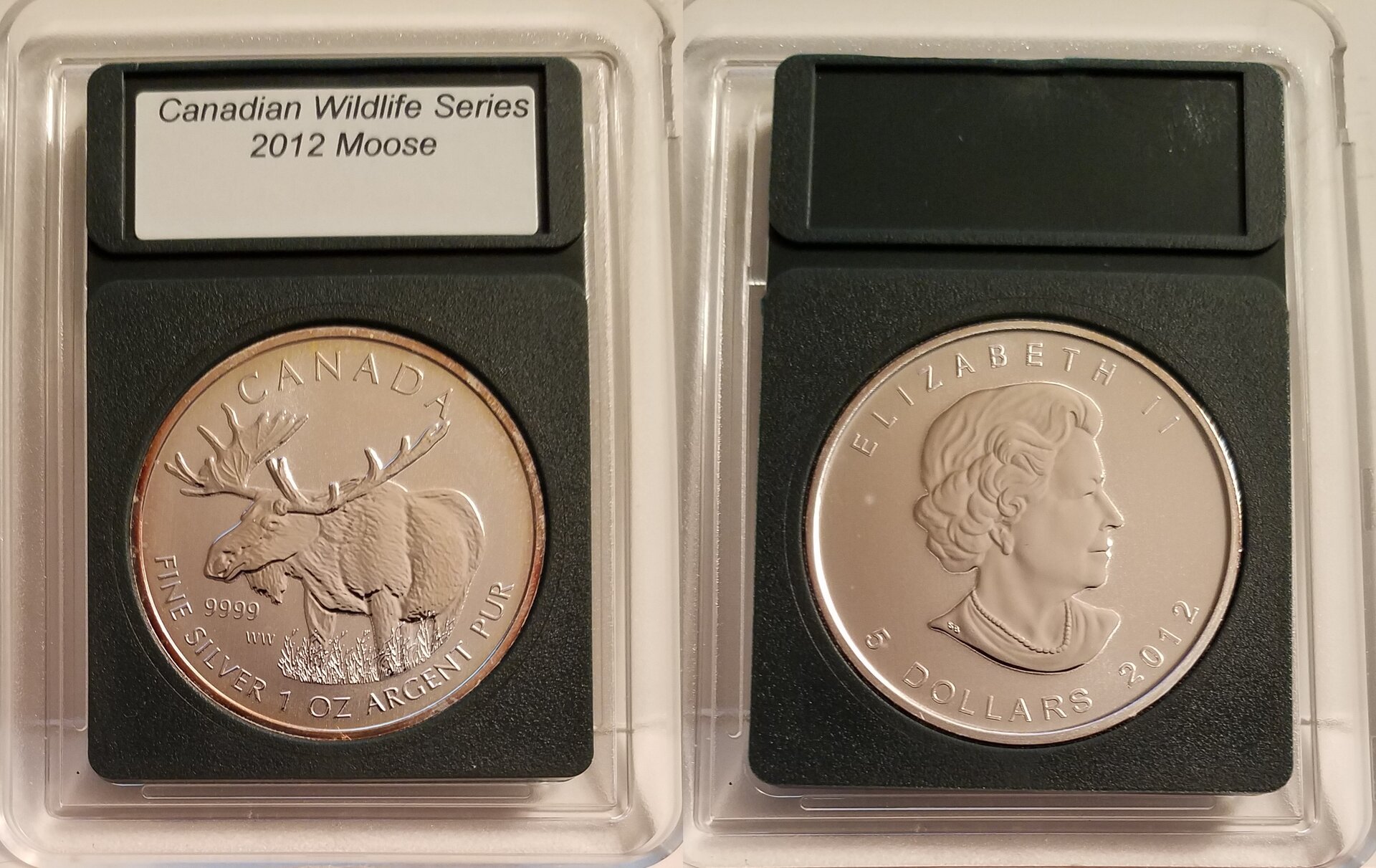 2012 moose A2-horz.jpg