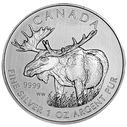 2012 moose.jpg