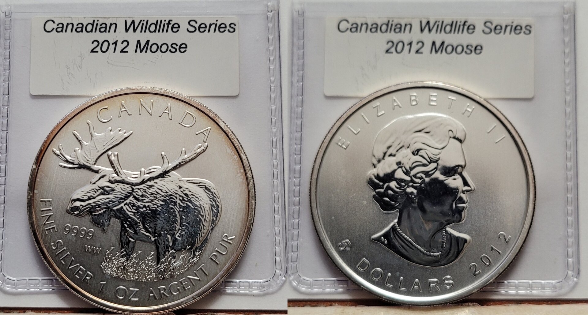 2012 Moose X-horz.jpg