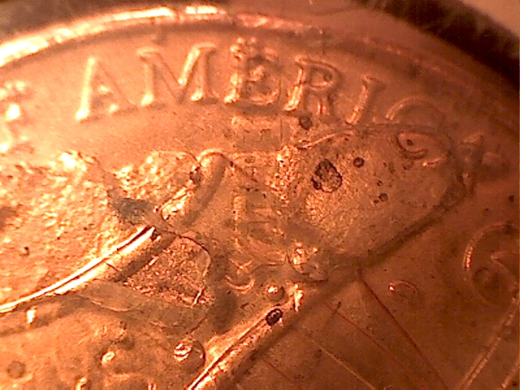 2012 penny4.jpg