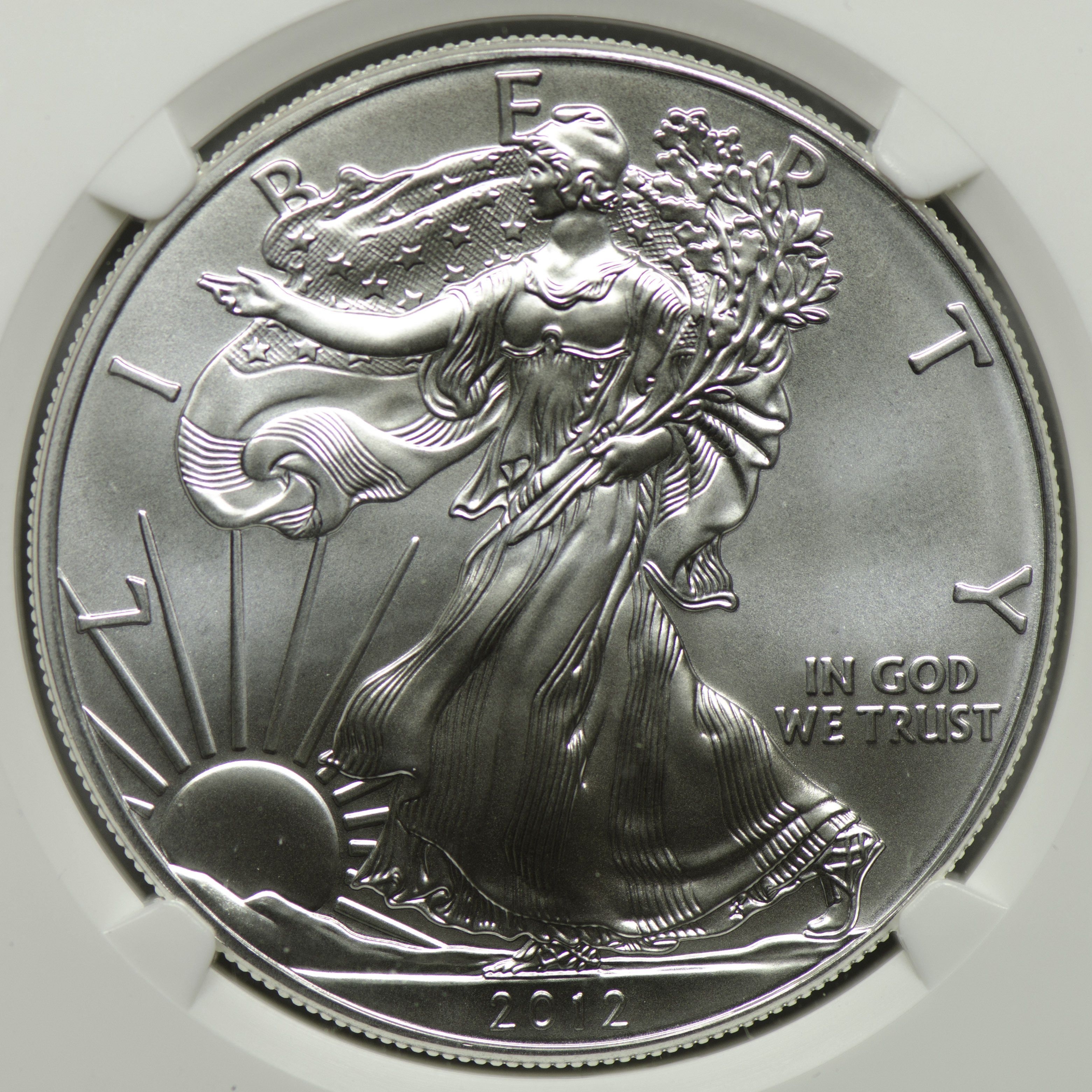 2012 W BULLION COIN - SILVER NGC MS 70 EAGLE Obv closeup 105mm-644.jpg