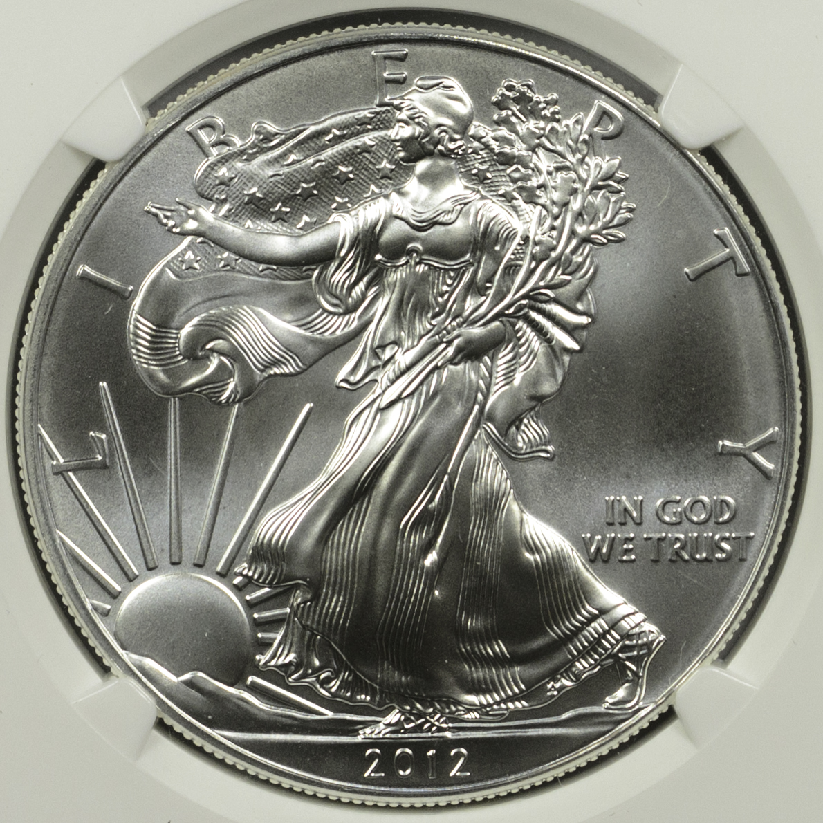 2012 W BULLION COIN - SILVER NGC MS 70 EAGLE Obv closeup 50mm-630.jpg