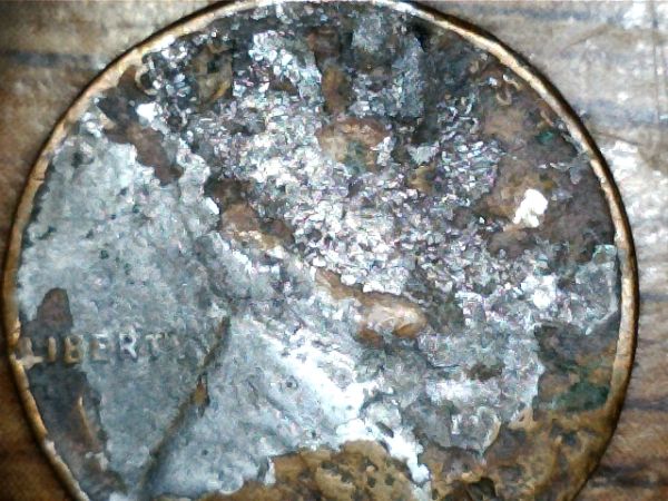20120212_2_opt.jpg
