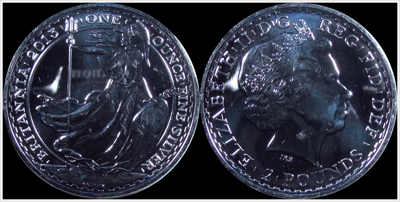 2013 Britannia Snake Privy.jpg