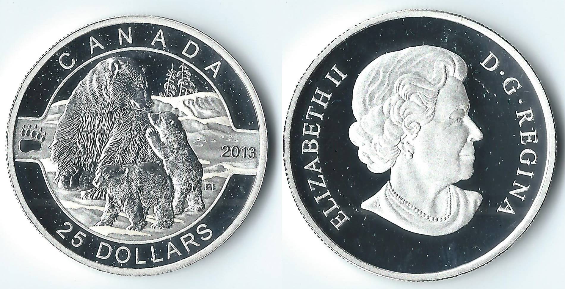 2013 canada 25 dollars.jpg