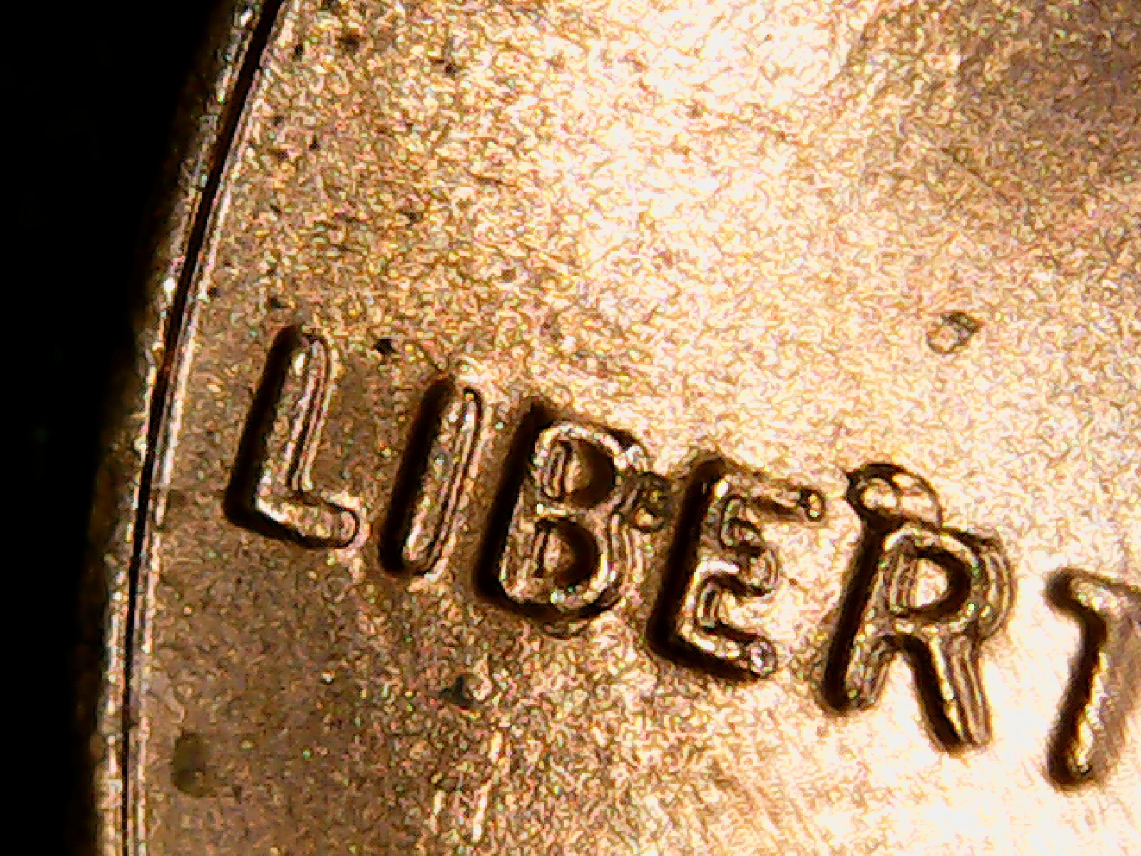 2013 cent lib 2.jpg