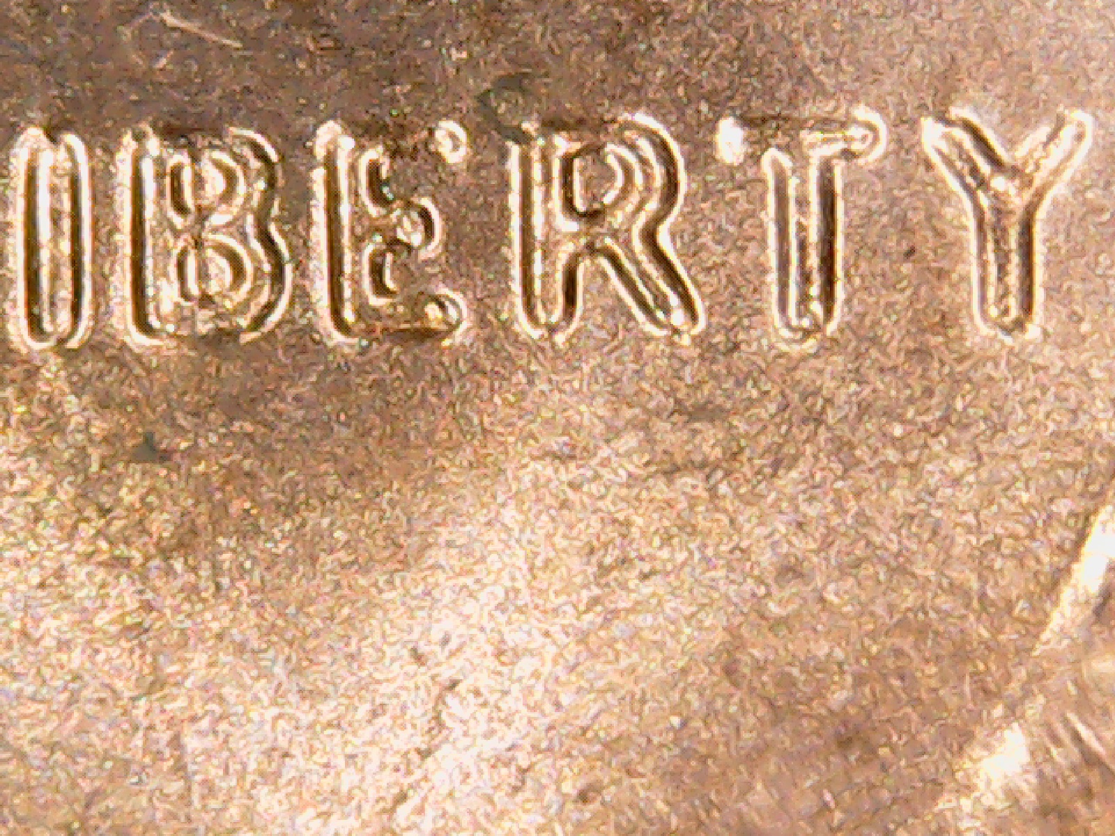 2013 cent lib 3.jpg