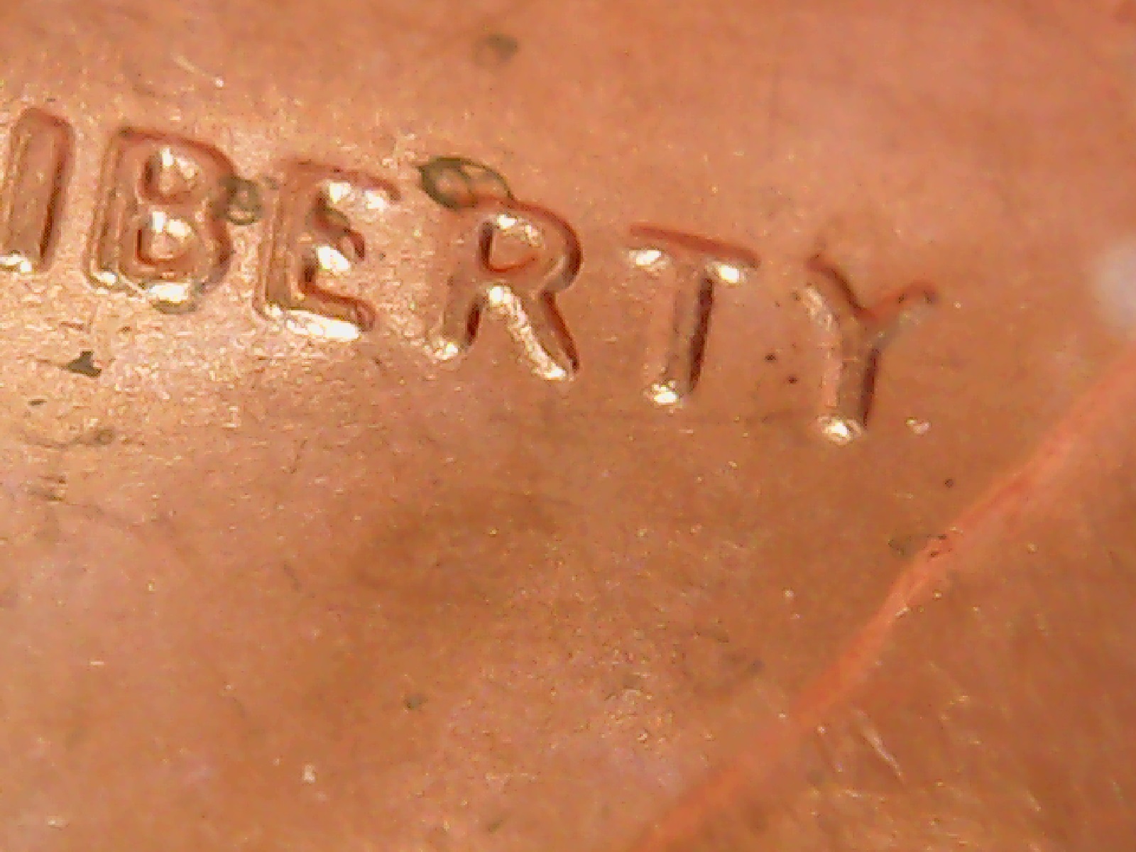 2013 cent lib 5.jpg