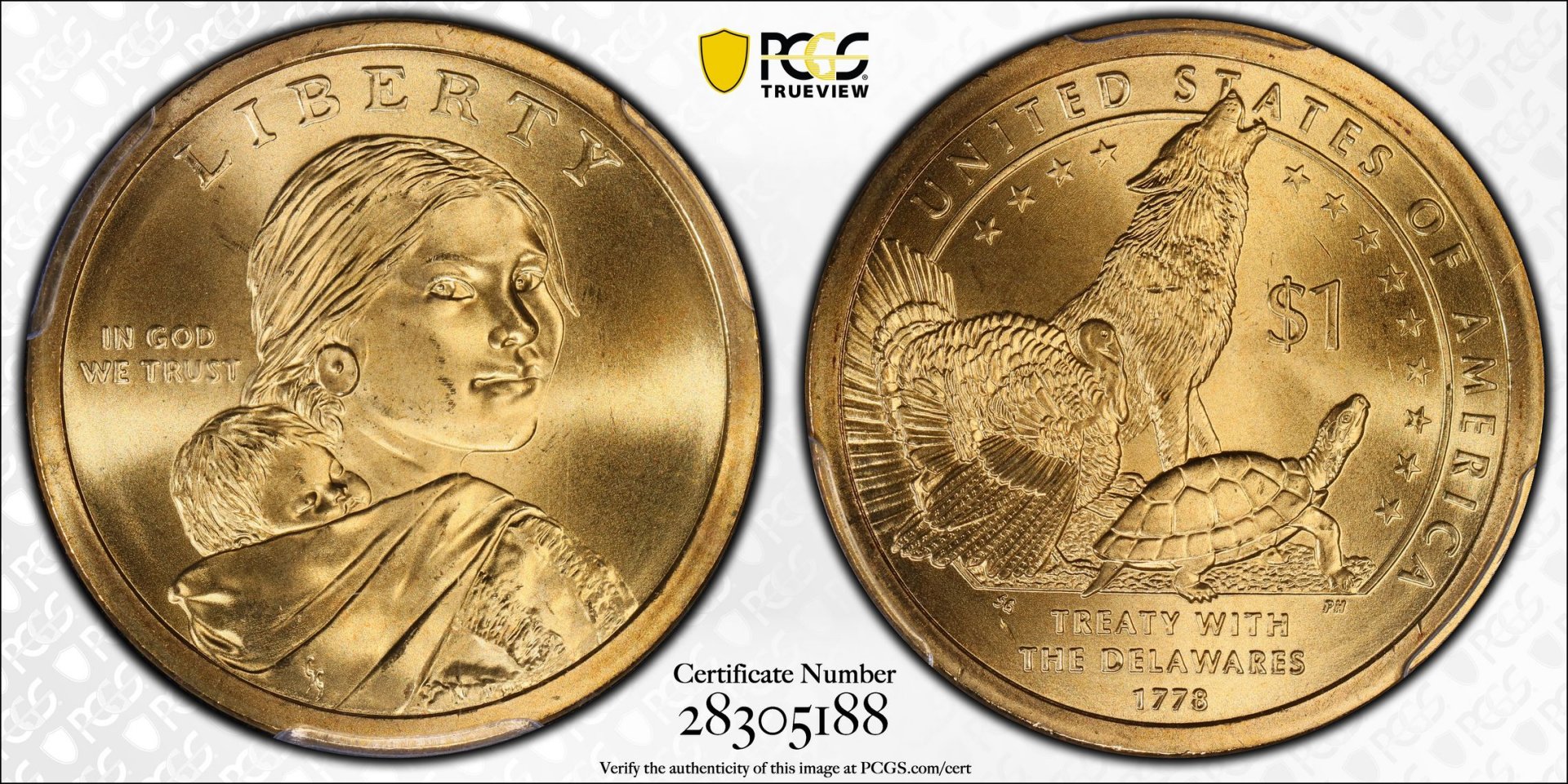 2013 D $1 Dollar - Sacagawea PCGS MS67 28305188 TrueView Full.jpg