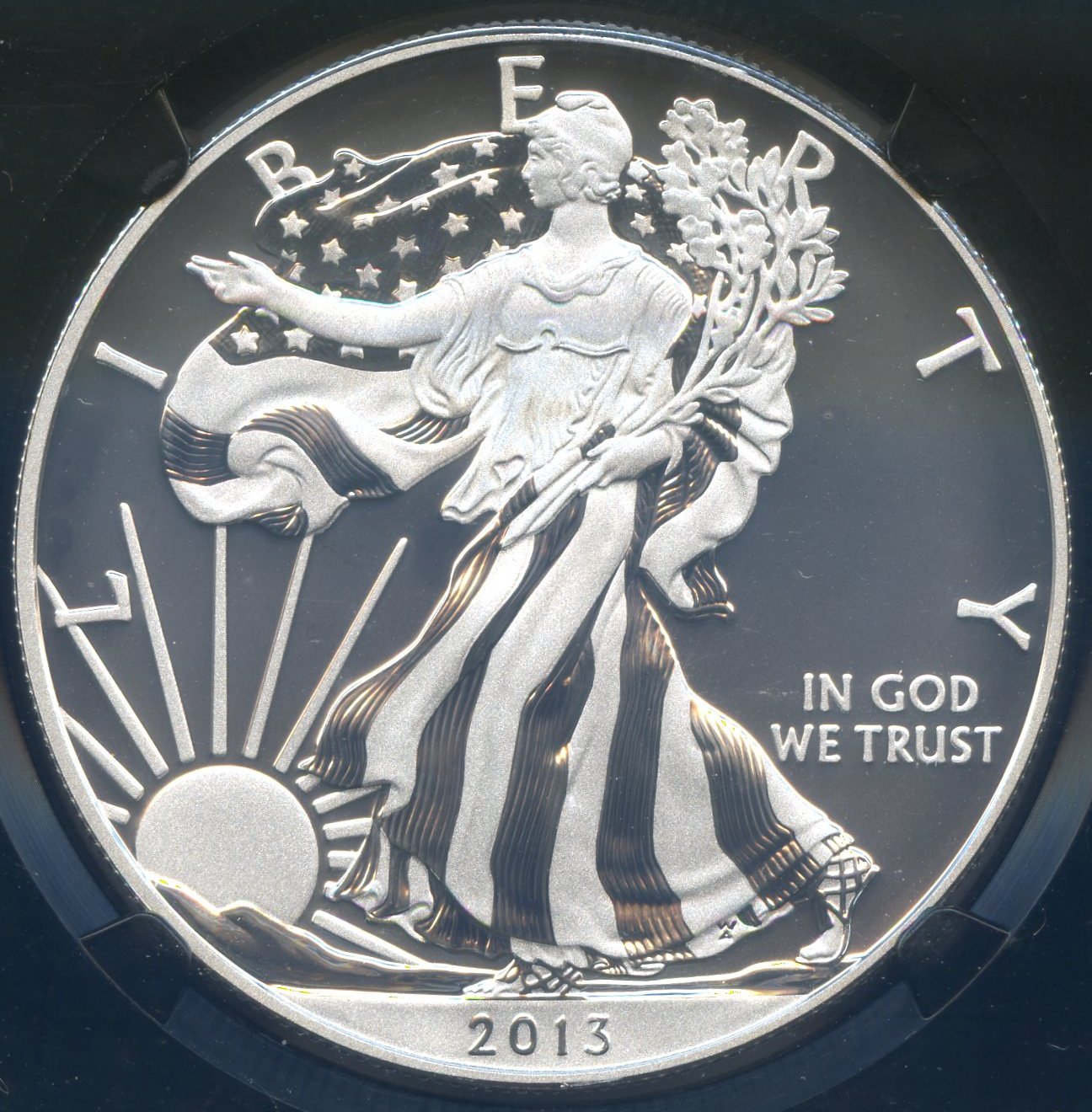 2013 Enhanced Eagle Proof Obv.jpg