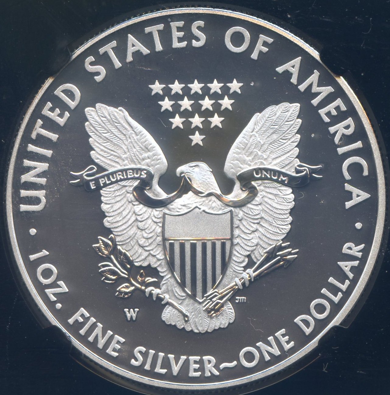2013 Enhanced Eagle Proof Rev.jpg