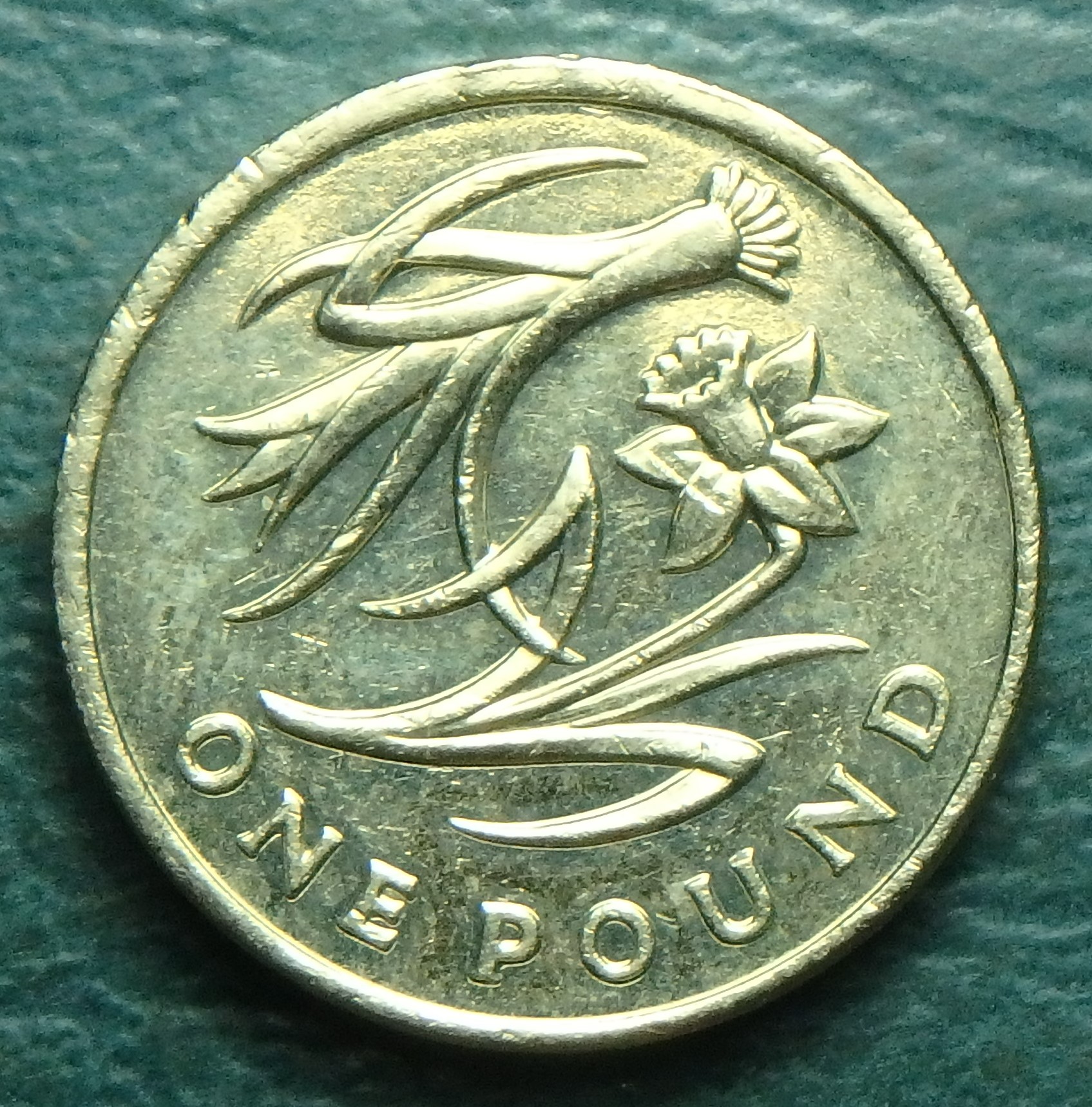 2013 GB-LnD 1 p rev.JPG