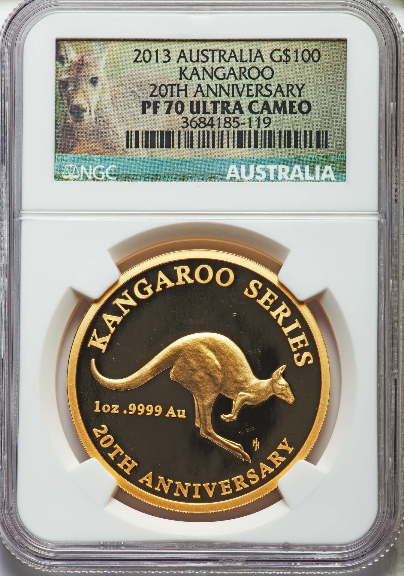 2013 kangroo o ha $1410.jpg