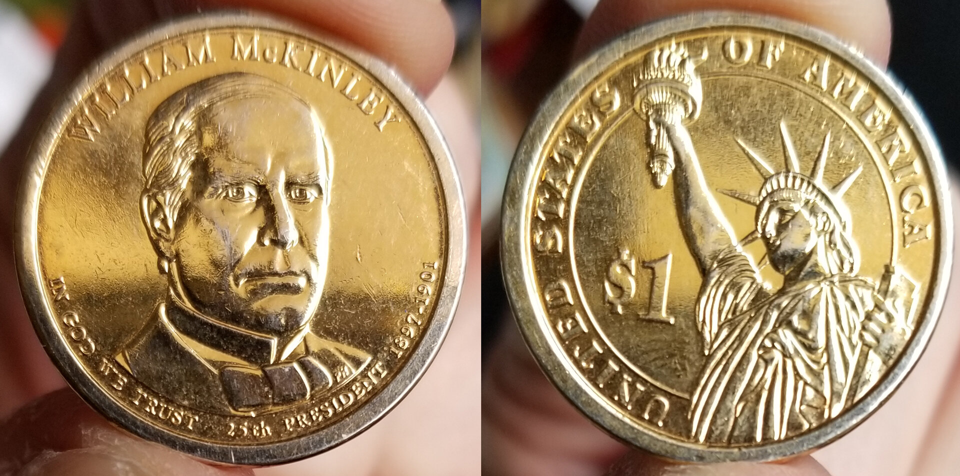 2013 P William McKinley Gold Plated.jpg
