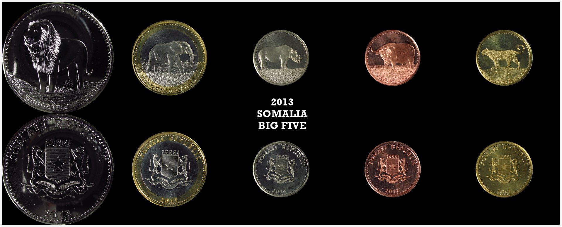 2013 somalia big five.jpg