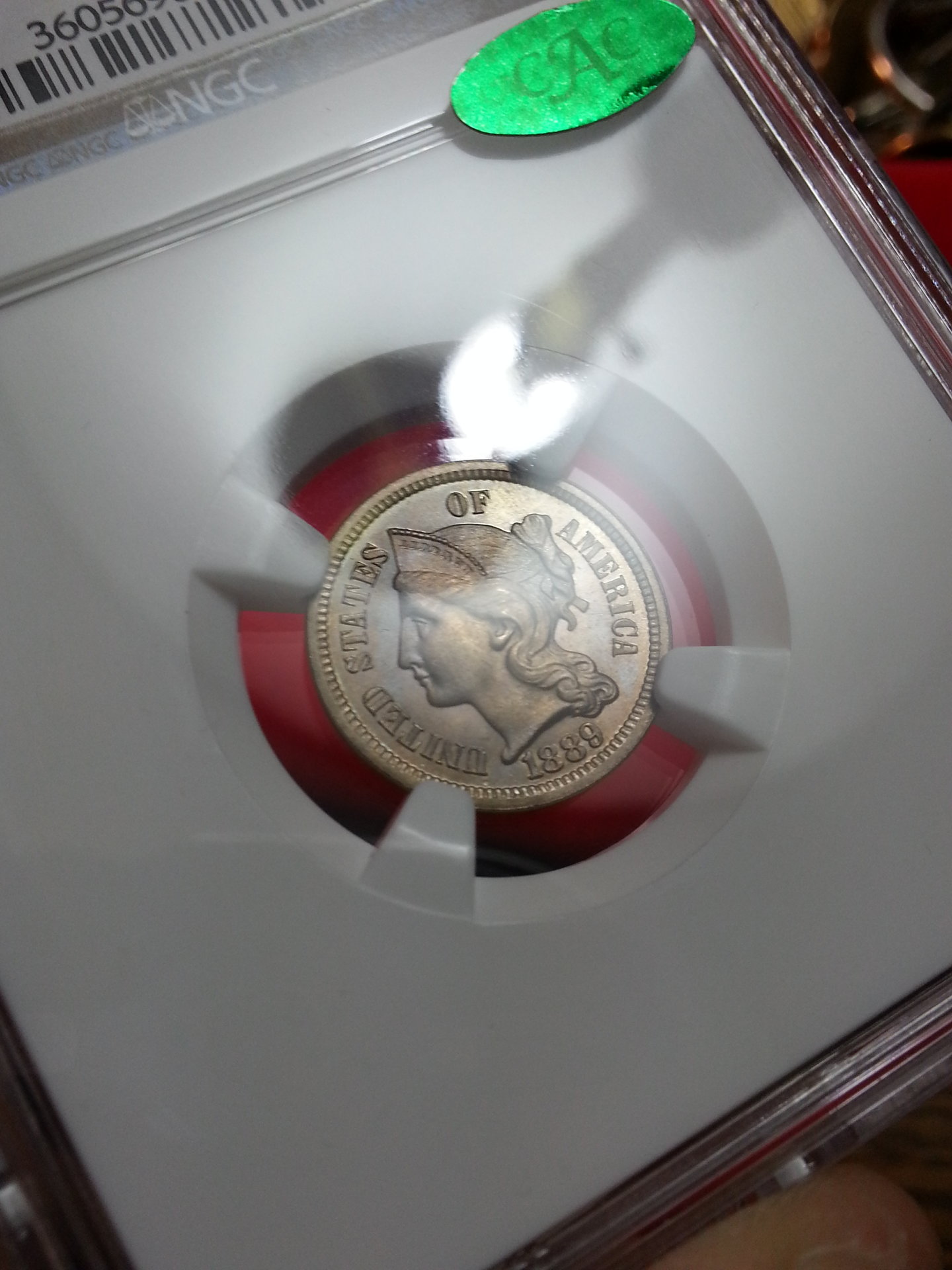 20130411_104951.jpg