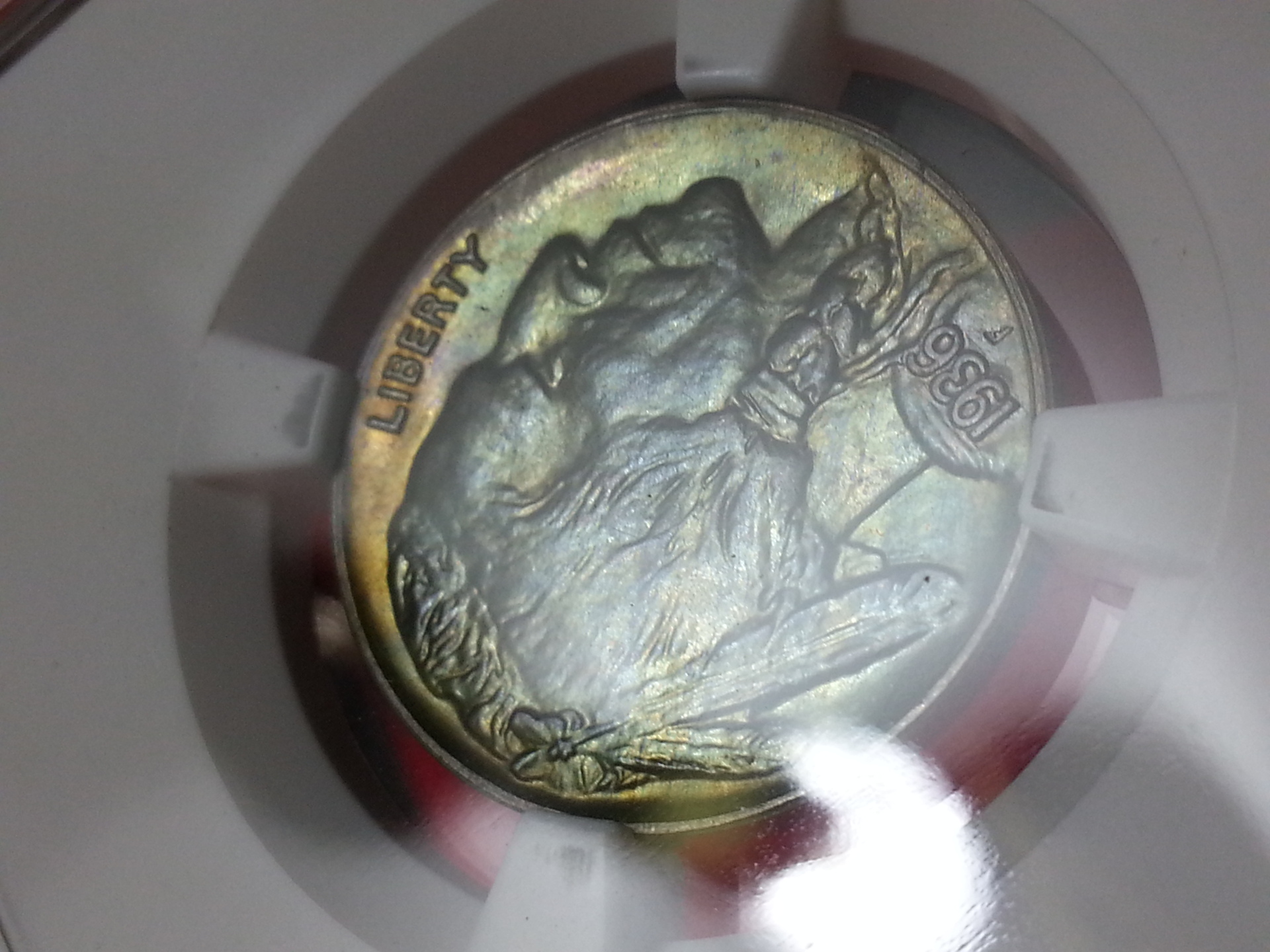 20130411_105617.jpg