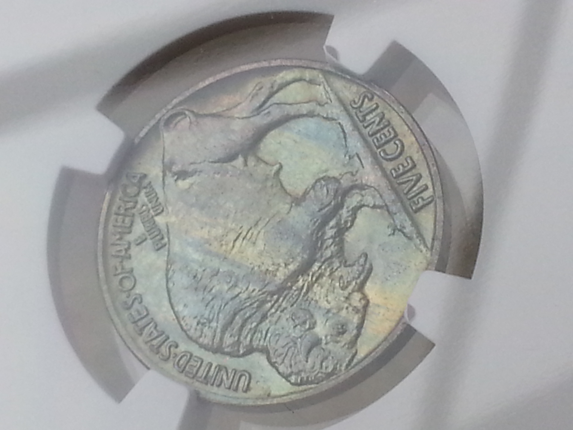 20130411_111110.jpg