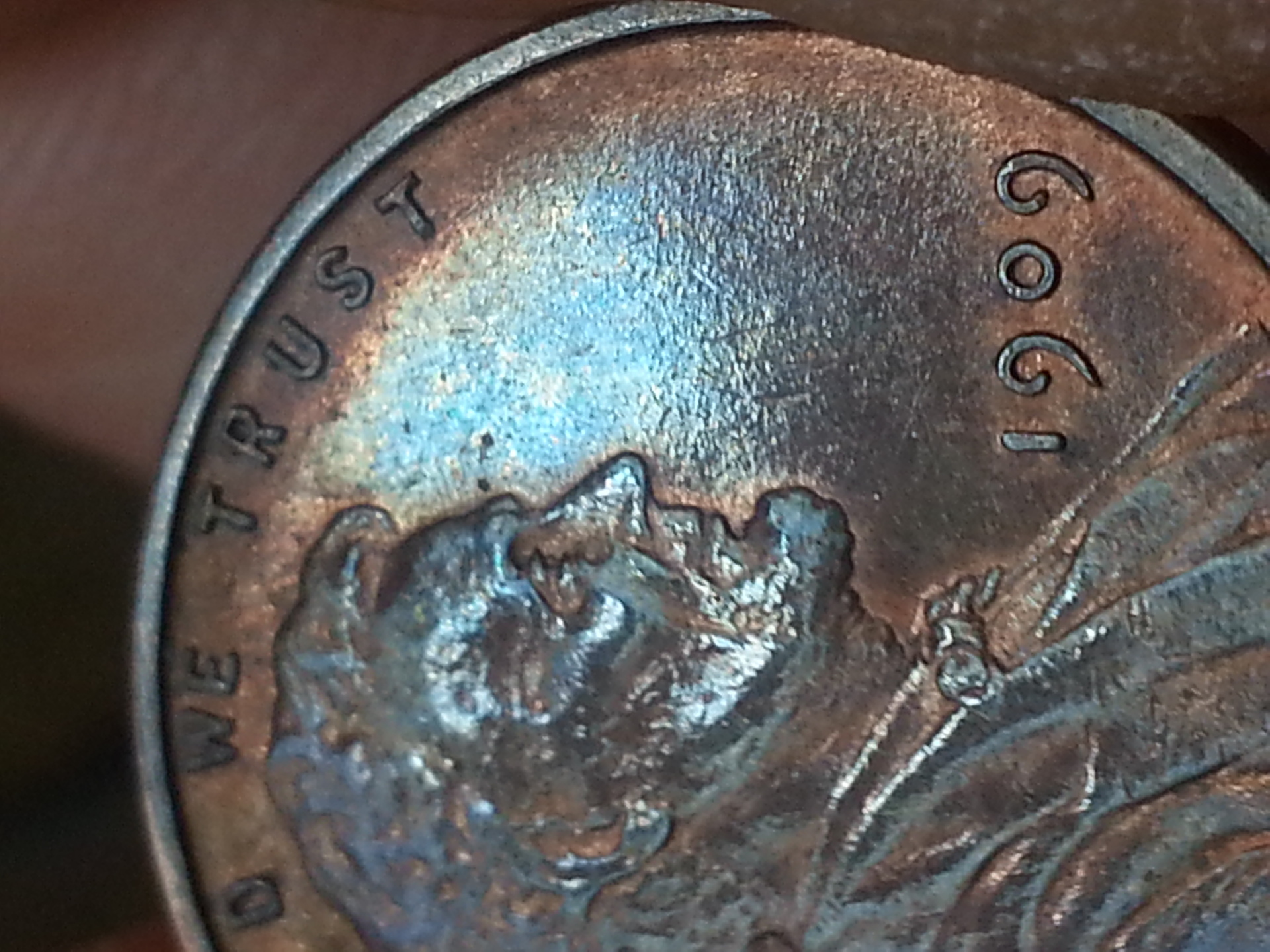 20130709_110929.jpg