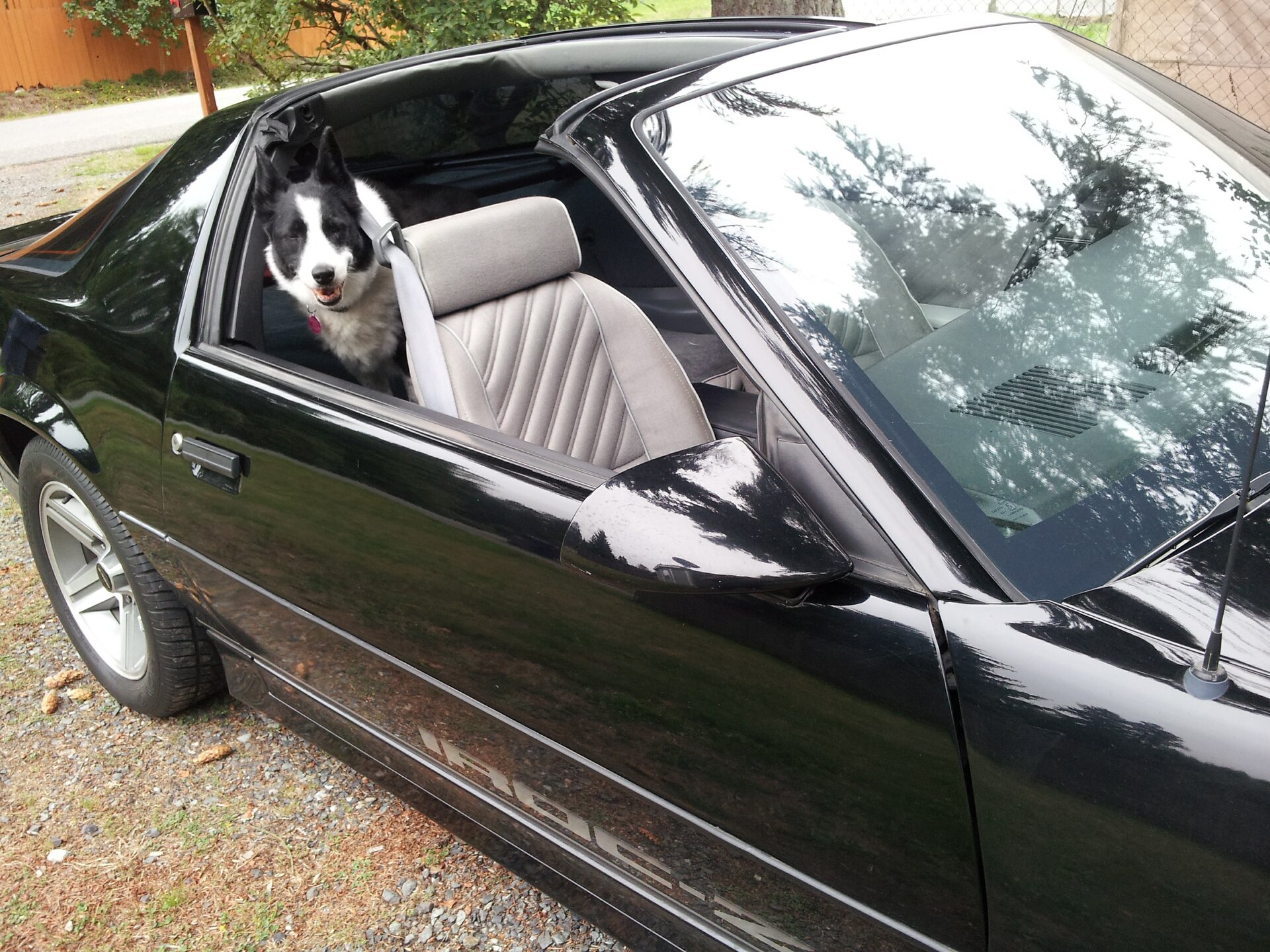 20130913_162132.jpg