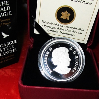 2013BaldEaglePortrait20CanadaDollarsOboxed.JPG
